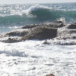 Meet your Posher, Ellen